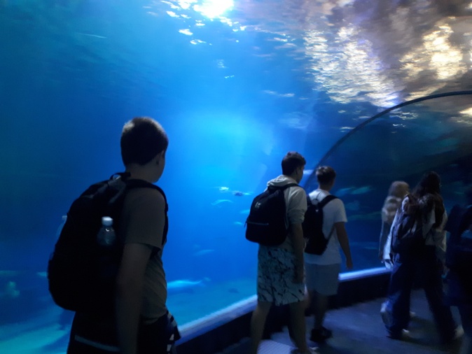 Uczniowie w oceanarium